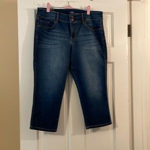 New York & Co curve creator crop